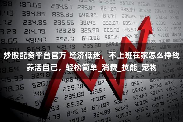 炒股配资平台官方 经济低迷，不上班在家怎么挣钱养活自己，轻松简单_消费_技能_宠物