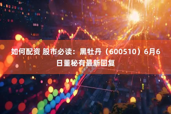 如何配资 股市必读：黑牡丹（600510）6月6日董秘有最新回复